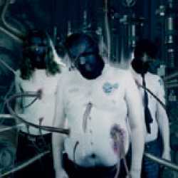 To Separate The Flesh From The Bones : Utopia Sadistica